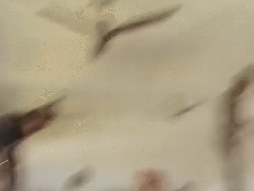 इससे पहले प्रिंसिपल ने छात्रों को पुताई नहीं करने पर प्रैक्टिकल में कम अंक देने की धमकी दी थी।