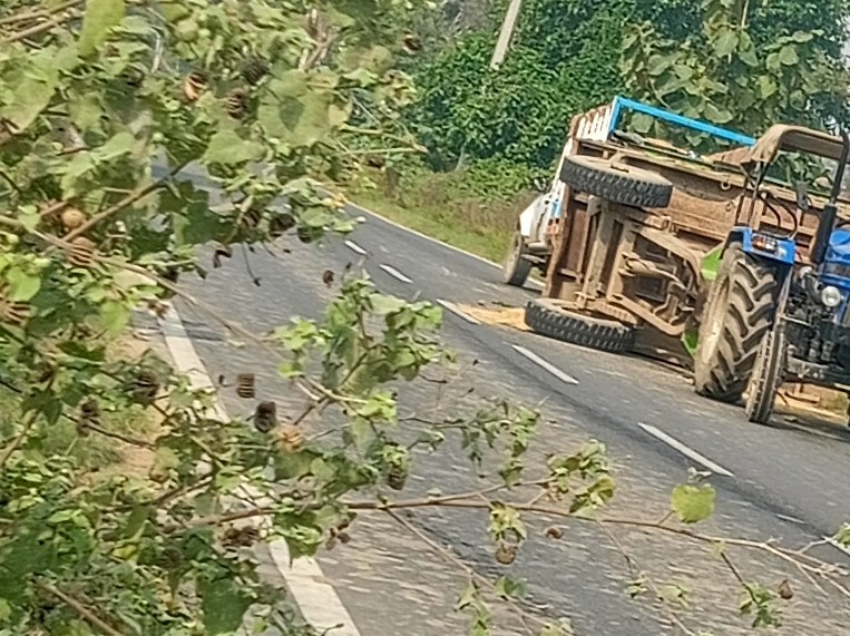 The trolley overturned after a cow came in front of the tractor ...
