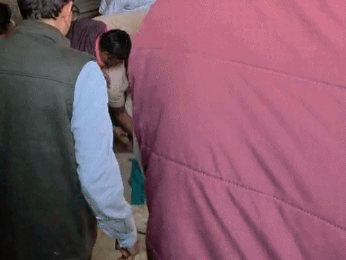 ट्रेंकुलाइज करने के बाद लेपर्ड को गाड़ी में डालकर श्रीमाधोपुर वन विभाग रेंज कार्यालय ले गए।