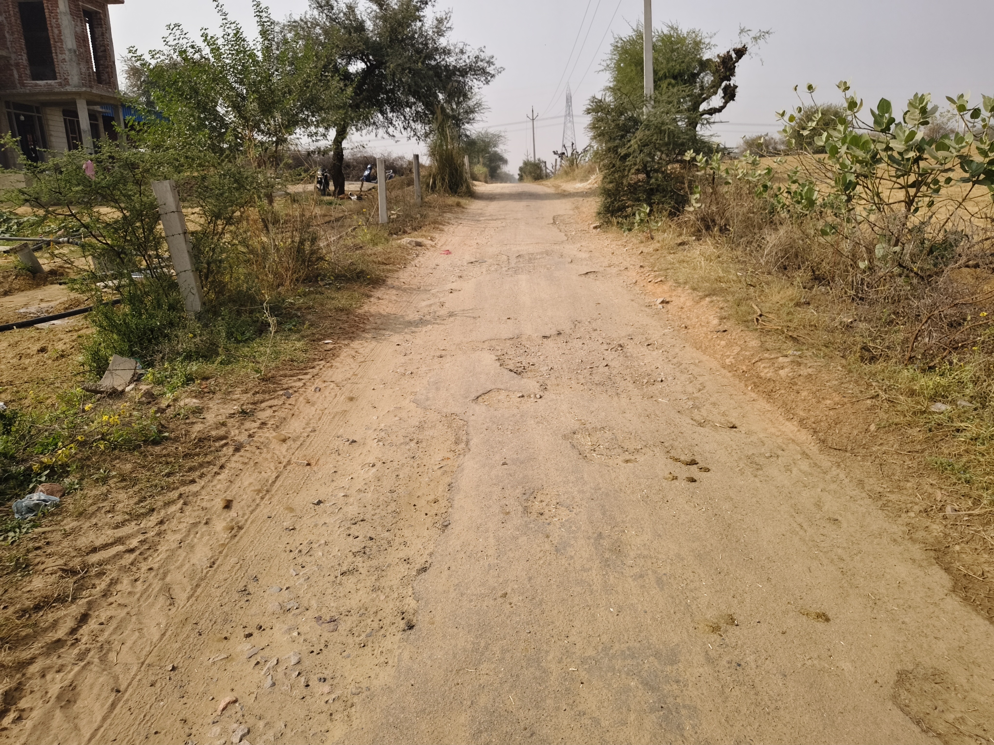 जगह-जगह से टूटी सड़क पर चढ़ी मिट्टी की परत