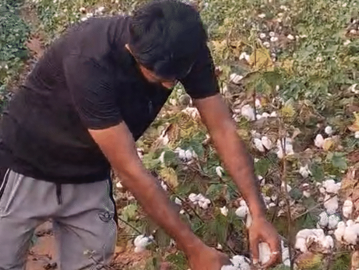 वजीर सिंह के बेटे भी उनकी मदद करते हैं।