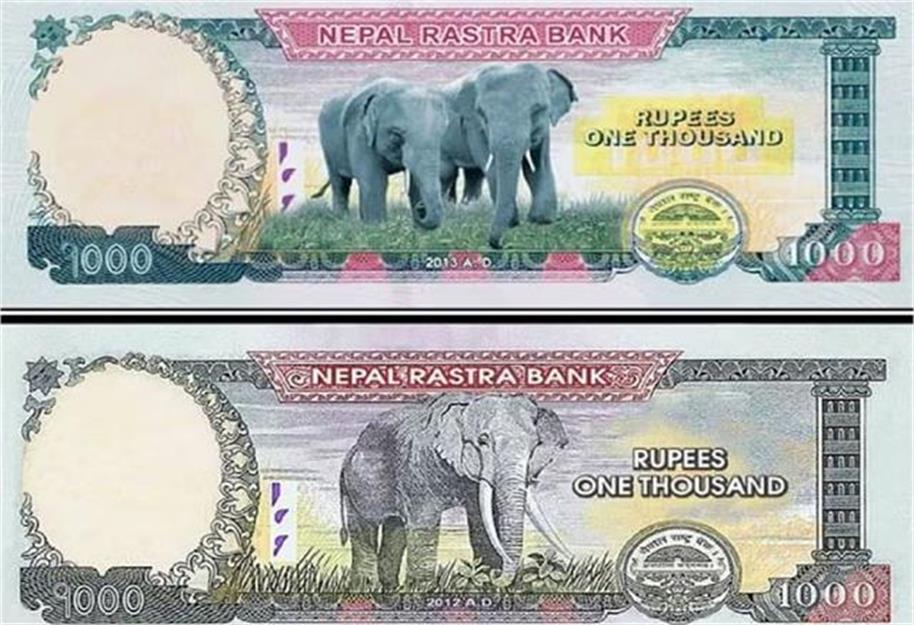 1 हजार नेपाली रुपया का नोट।