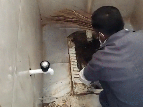 अंबिकापुर में महिला ने टॉयलेट में प्रसव के दौरान नवजात को जन्म दिया, बच्चा एसएनसीयू में भर्ती - Dainik Bhaskar