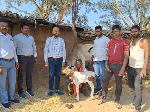 पशुपालक ने प्रधानमंत्री नरेंद्र मोदी के छोटी-छोटी नस्ल की गायों की वीडियो देखकर डिमांड की थी।