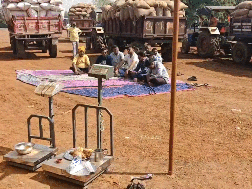 धमतरी के शंकरदाह केंद्र में सुबह से किसान धान लेकर पहुंचे हैं। केंद्र में अधिकारी-कर्मचारी नदारद है।