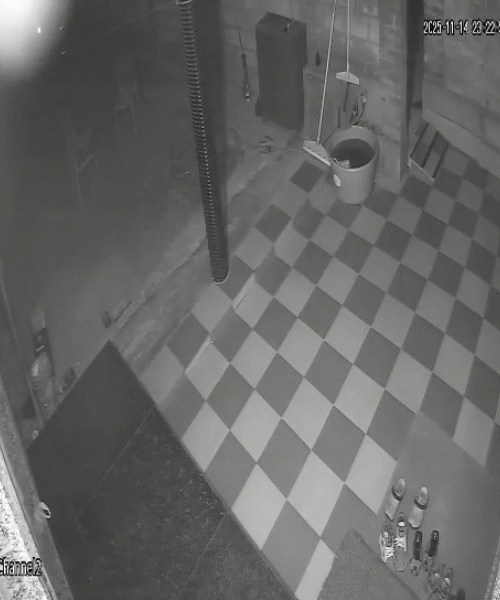 श्रीनगर पोलिस ठाण्यात स्फोट, 300-600 मीटर दूरवर पडले मृतदेहांचे तुकडे: लोकांनी सांगितले- त्यांनी कवटी पडताना पाहिली; डिटोनेटरशिवाय स्फोटकांचा स्फोट पोलिस ठाण्यात झालेल्या स्फोटानंतर २०० मीटर अंतरापर्यंतच्या घरांच्या काचा फुटल्या.