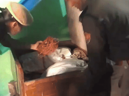 अल-फलाह विद्यापीठाविरुद्ध दिल्लीत 2 FIR: स्फोटानंतर फरिदाबादमधील मशिदींमध्ये तपासणी; दहशतवादी उमरचे मोबाईल दुकानातील नवीन सीसीटीव्ही फुटेज राजीव कॉलनीमध्ये पोलिसांनी लोकांच्या घरांची झडती घेतली आणि त्यात बेड, कपाट इत्यादी वस्तू आढळल्या.