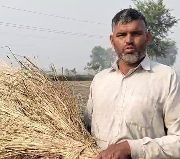 फतेहाबाद का किसान 9 एकड़ में कर रहा जैविक खेती:  मिट्टी और सेहत दोनों रख रहे सुरक्षित; उपज कम, फिर भी सालाना 4 लाख कमाई – Fatehabad (Haryana) News