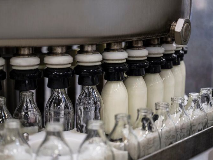 भारत की शर्त है कि कोई भी डेयरी उत्पाद तभी भारत में बिक सकता है जब वह यह साबित करे कि वह पूरी तरह शाकाहारी तरीके से बना हो।