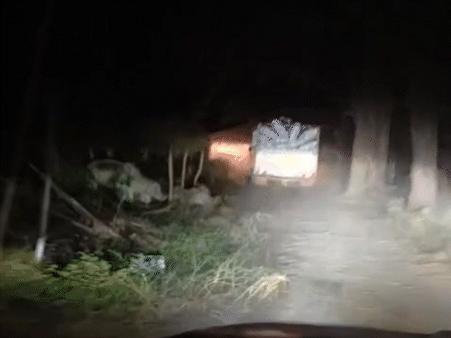 पुलिस ने साढ़े 4 किलोमीटर दूर पीछा कर अवैध धान की गाड़ी को पकड़ा।