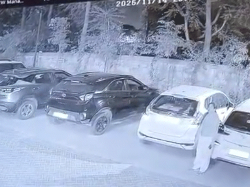 महिला अपनी सोसाइटी में घूम रही थी, तभी अचानक एक कुत्ता दौड़ते हुए उसके सामने आ गया।