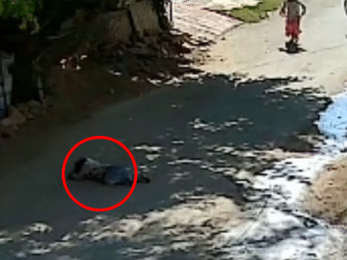 बच्चे की मौके पर ही मौत हो गई। आसपास खेल रहे बच्चे दौड़कर आए और उसे संभालने लगे।