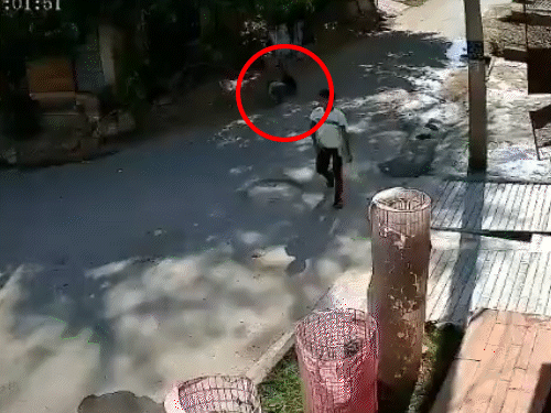 सड़क किनारे खेल रहे बच्चे को कुचलते हुए कार निकल गई।