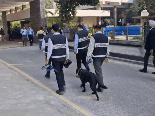 सूरजकुंड में मीटिंग से पहले खोजी कुत्तों और बम स्क्वॉयड ने पूरे परिसर की तलाशी ली।