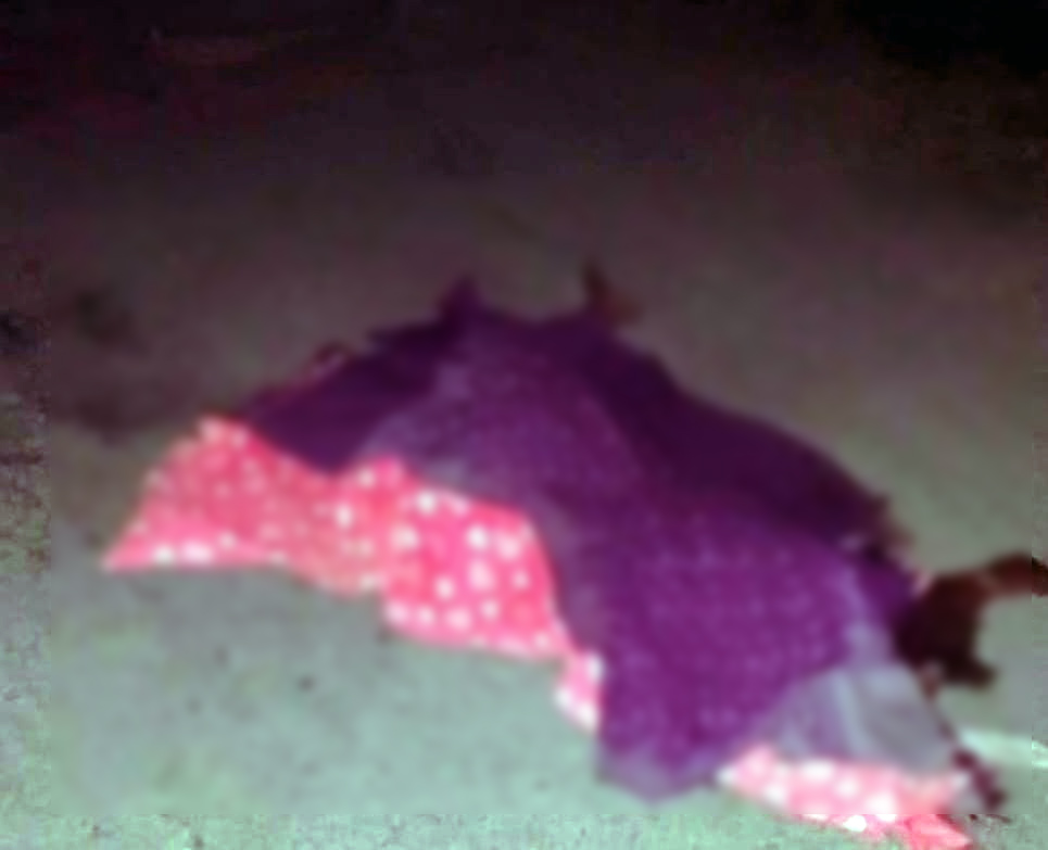 रामगढ़ में हाथियों ने महिला को कुचला, मौत:  गांव में कई घरों में किया तोड़फोड़, ग्रामीणों ने मुआवजे की मांग पर सड़क किया जाम – Ramgarh (Jharkhand) News