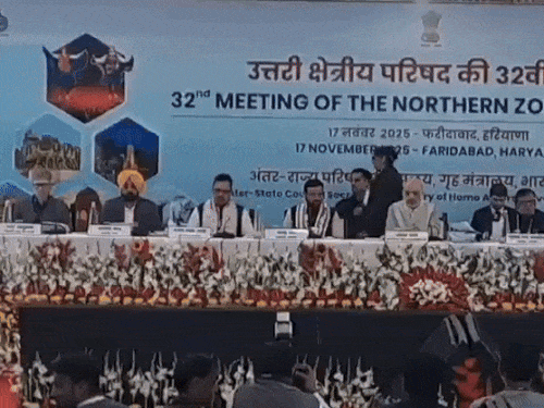 NZCC की मीटिंग में शामिल होते हुए सीएम भगवंत मान। (फाइल फोटो)