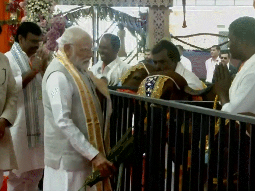 मंदिर परिसर में पीएम मोदी गायों के साथ नजर आए।