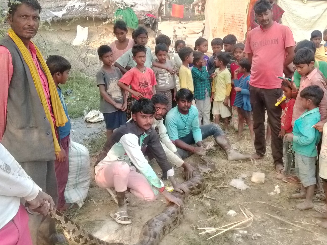 A 10-foot python was found in Shivli. | शिवली में 10 फीट का अजगर मिला ...
