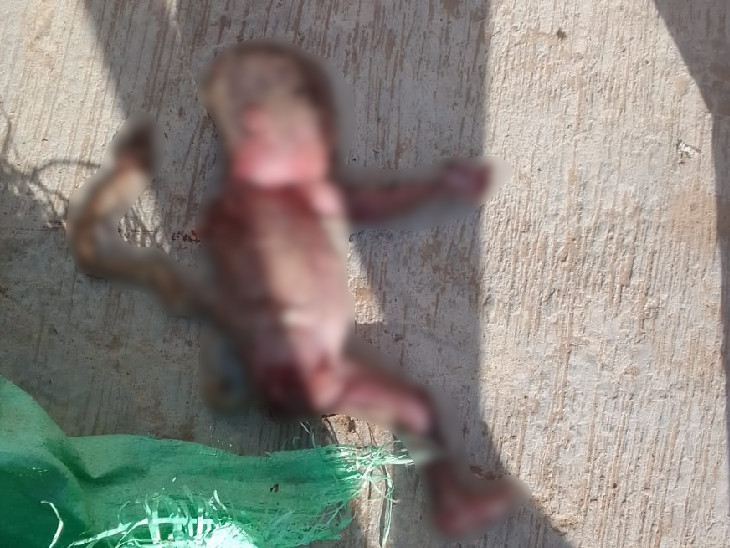 सीकर में जाट बोर्डिंग के पीछे कचरे में फेंका गया नवजात।