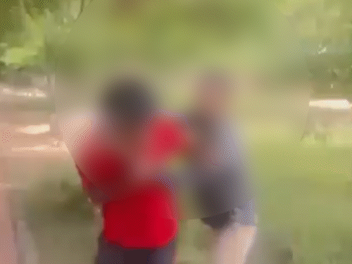 अजमेर शहर में अलवर गेट थाना इलाके के रेलवे पार्क में पीड़ित स्टूडेंट को पीटते आरोपी छात्र।