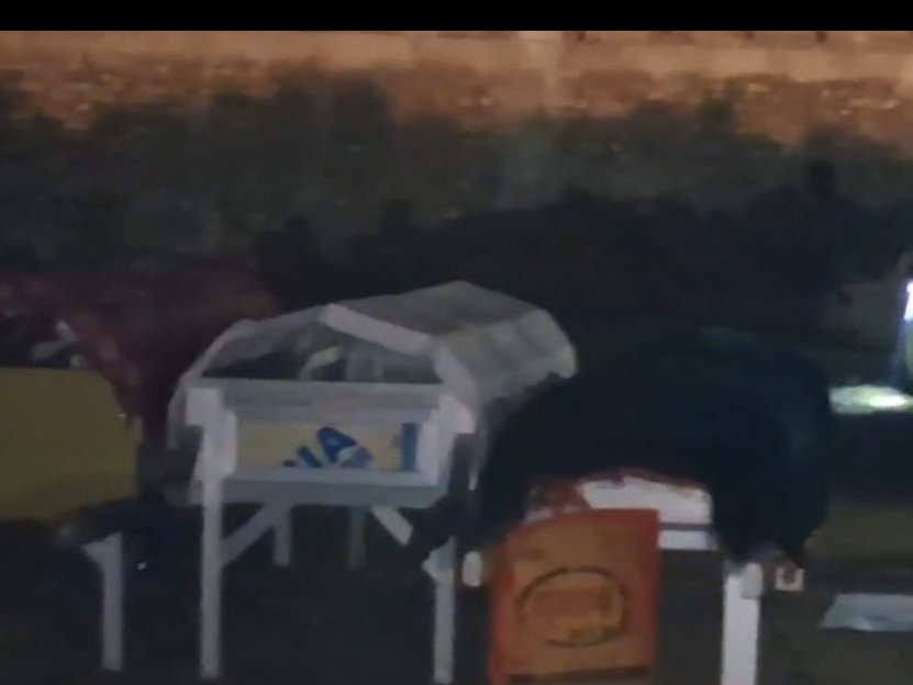 देवरिया में सास और दो बहुएं सुपुर्द-ए-खाक:  एक साथ उठे जनाजे, हर आंख हुई नम, मऊ में सड़क हादसे में हुई थी मौत – Deoria News