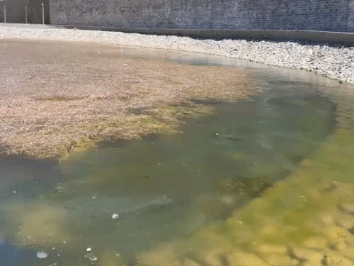 चमोली जिले में ठंड के कारण शेषनेत्र झील में पानी जम गया।