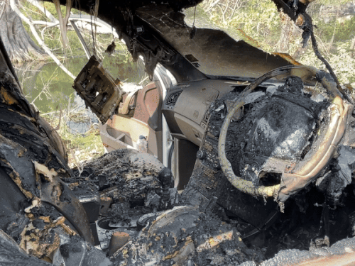 ड्राइवर भी कार से दोनों नंबर प्लेट उतार कर मौके से फरार हो गया।