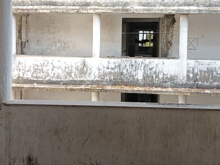 हॉस्टल के गलियारे में इस तरह कुत्तों का जमावड़ा रहता है।