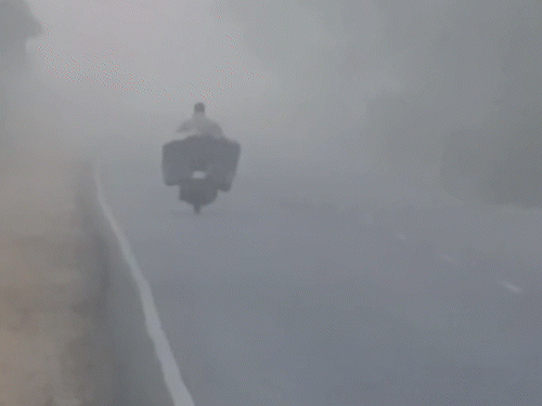 MP के शाजापुर में शनिवार को धुंध के कारण 100 मीटर विजिबिलिटी नहीं है।