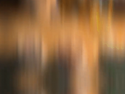 खैरागढ़-छुईखदान-गंडई जिले में तलवार से केक काटने वाले युवक को पुलिस ने गिरफ्तार किया है।