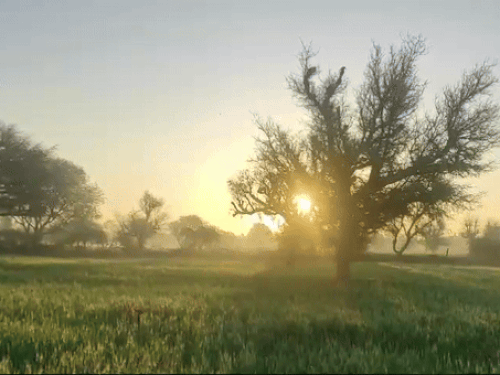 Relief from cold in Chhattisgarh... Temperature will rise by 2-3° in 5 days | छत्तीसगढ़ में 3 दिन 2-3° तक बढ़ेगा तापमान: दुर्ग-बिलासपुर, सरगुजा संभाग में चलेगी शीतलहर; ऐसे मौसम ...