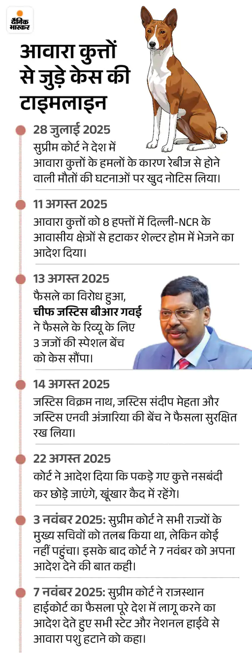 image 2025 11 22t093022970 1763783944