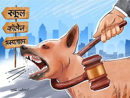 सुप्रीम कोर्ट ने आवारा कुत्तों को स्कूल, कॉलेज, अस्पताल और बस स्टैंड से दूर रखने के आदेश दिए हैं।