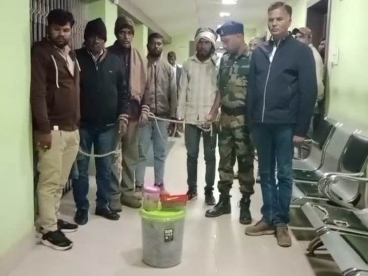 पलामू में सांप के जहर का इंटरनेशनल रैकेट पकड़ाया:  20KG पेंगोलिन शल्क, 1.2 लीटर जहर बरामद- कीमत 80 करोड़; मेड इन फ्रांस की आईडी जब्त – Palamu News