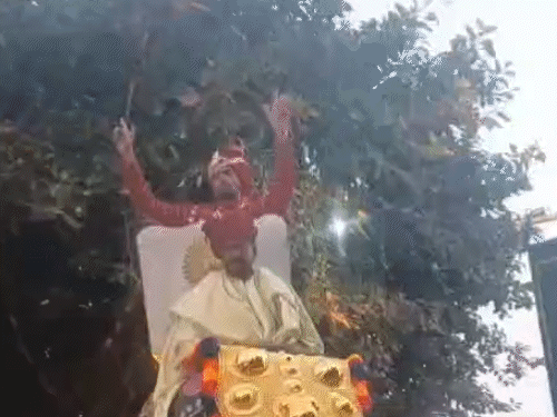 शनिवार को निकली बारात में दूल्हे वामिसी हाथी पर बैठकर निकले। इस दौरान उन्होंने डांस भी किया।