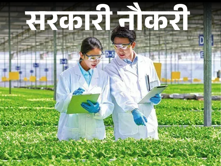 সরকারি চাকরি: রাজ্য কৃষি বিশ্ববিদ্যালয়গুলিতে 158টি পদের জন্য নিয়োগ; বেতন ৮০ হাজারের বেশি, ইন্টারভিউ ছাড়া নির্বাচন সরকারি চাকরি: রাজ্য কৃষি বিশ্ববিদ্যালয়গুলিতে 158টি পদের জন্য নিয়োগ; বেতন ৮০ হাজারের বেশি, ইন্টারভিউ ছাড়া নির্বাচন