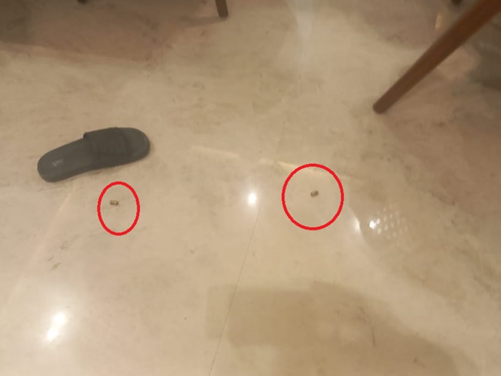 घर में पड़े खाली खोल, जिन्हें पुलिस ने कब्जे में ले लिया है।