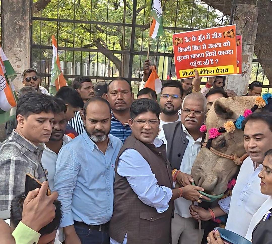 जिला अध्यक्ष राकेश ठाकुर ने उंट को जीरा खिलाकर किया प्रदर्शन।