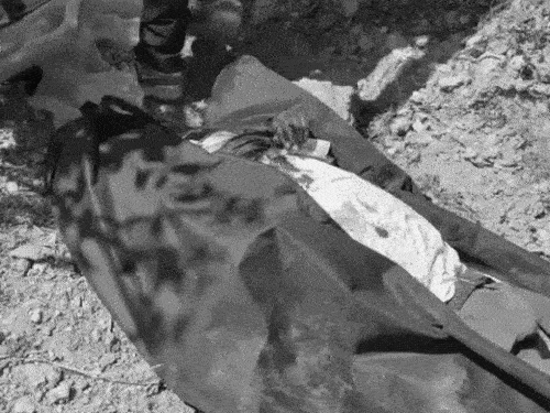 रेस्क्यू अभियान चलाती SDRF की टीम।