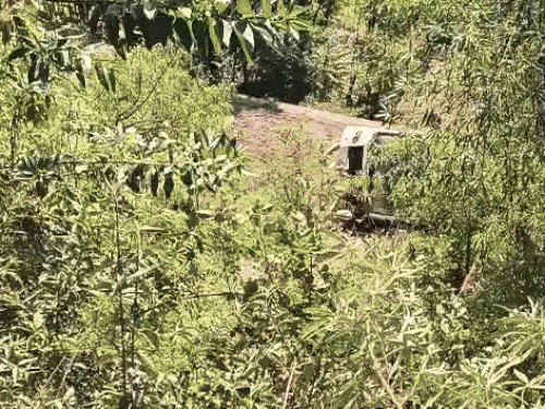 बस 70 मीटर गहरी खाई में गिरी।