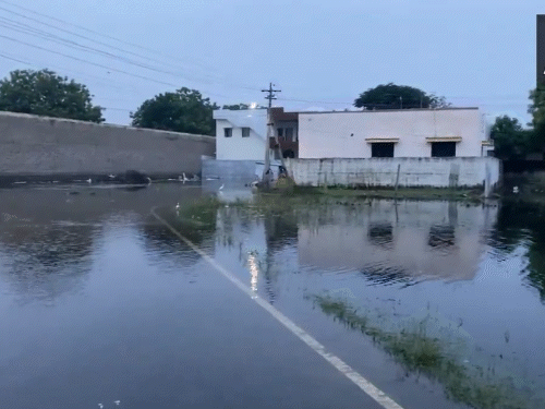 तमिलनाडु: थूथुकुडी जिले में पिछले 3 दिनों से लगातार बारिश से आवासीय इलाके जलमग्न हैं।