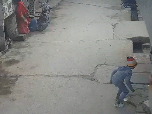 दिल्ली में पिटबुल ने 6 साल के बच्चे पर किया हमला, कान कटा और चेहरे पर 10 गहरे घाव; मालिक गिरफ्तार