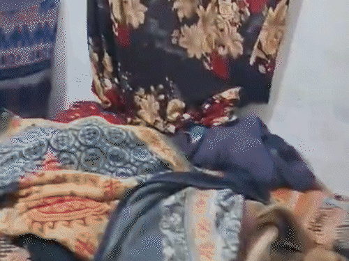 बिलासपुर में चरित्र संदेह के चलते पत्नी की हत्या कर फांसी पर झूल गया पति। - Dainik Bhaskar