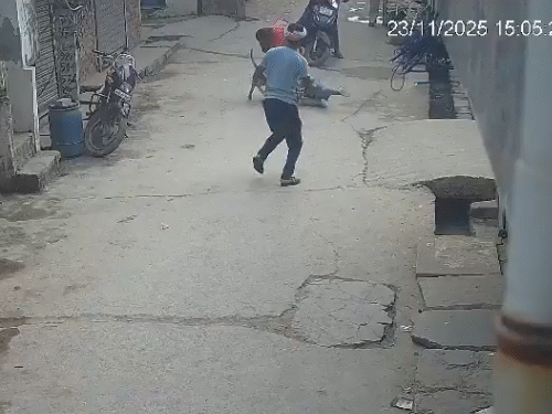 दिल्ली में पिटबुल ने 6 साल के बच्चे पर किया हमला, कान कटा और चेहरे पर 10 गहरे घाव; मालिक गिरफ्तार