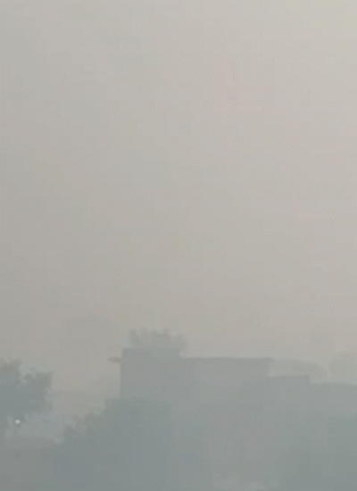 बिहार: बेतिया में सुबह-सुबह घना कोहरा छाया हुआ है।