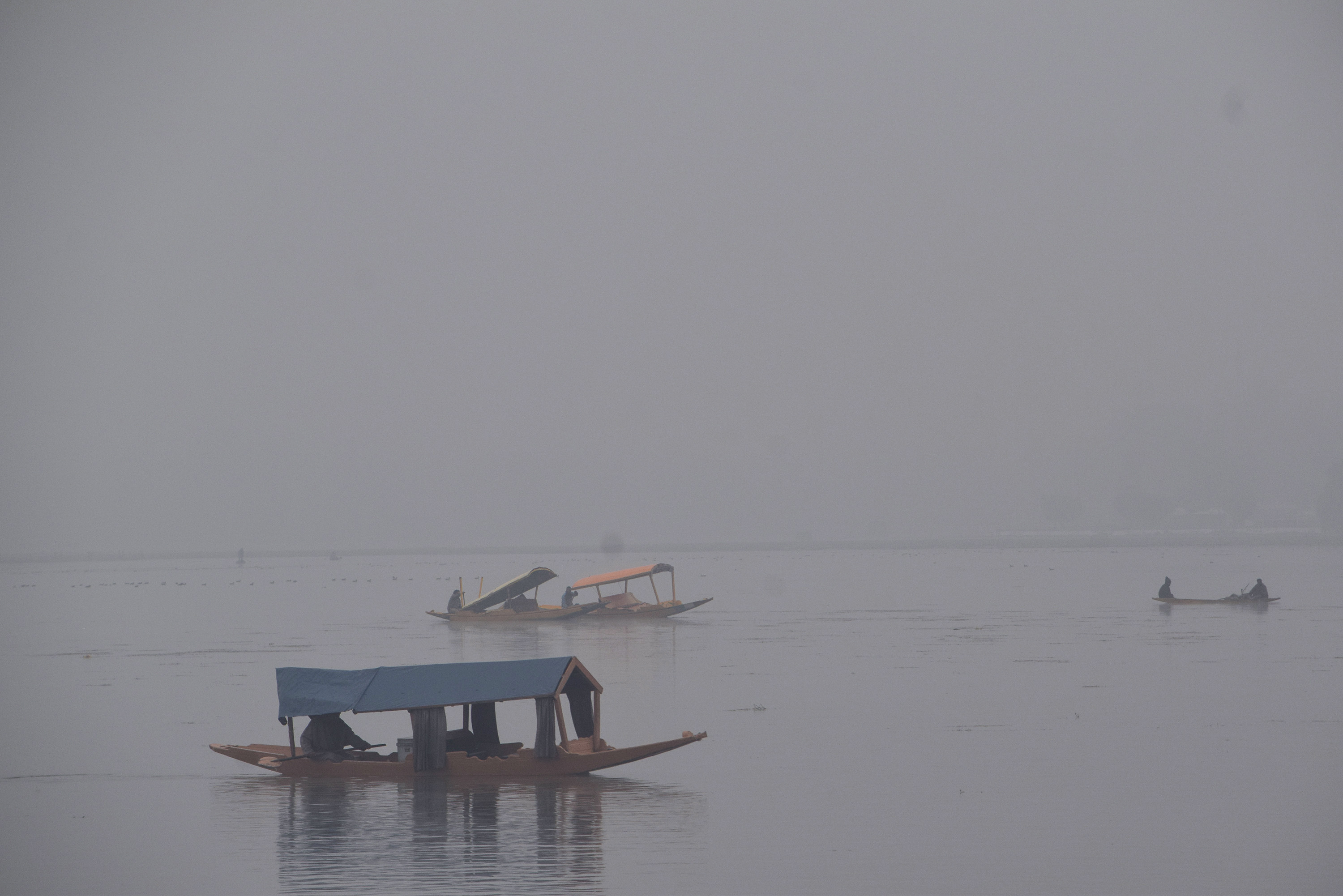 जम्मू-कश्मीर: श्रीनगर में सर्द सुबह घने कोहरे के बीच नाविक शिकारा चलाते हुए।