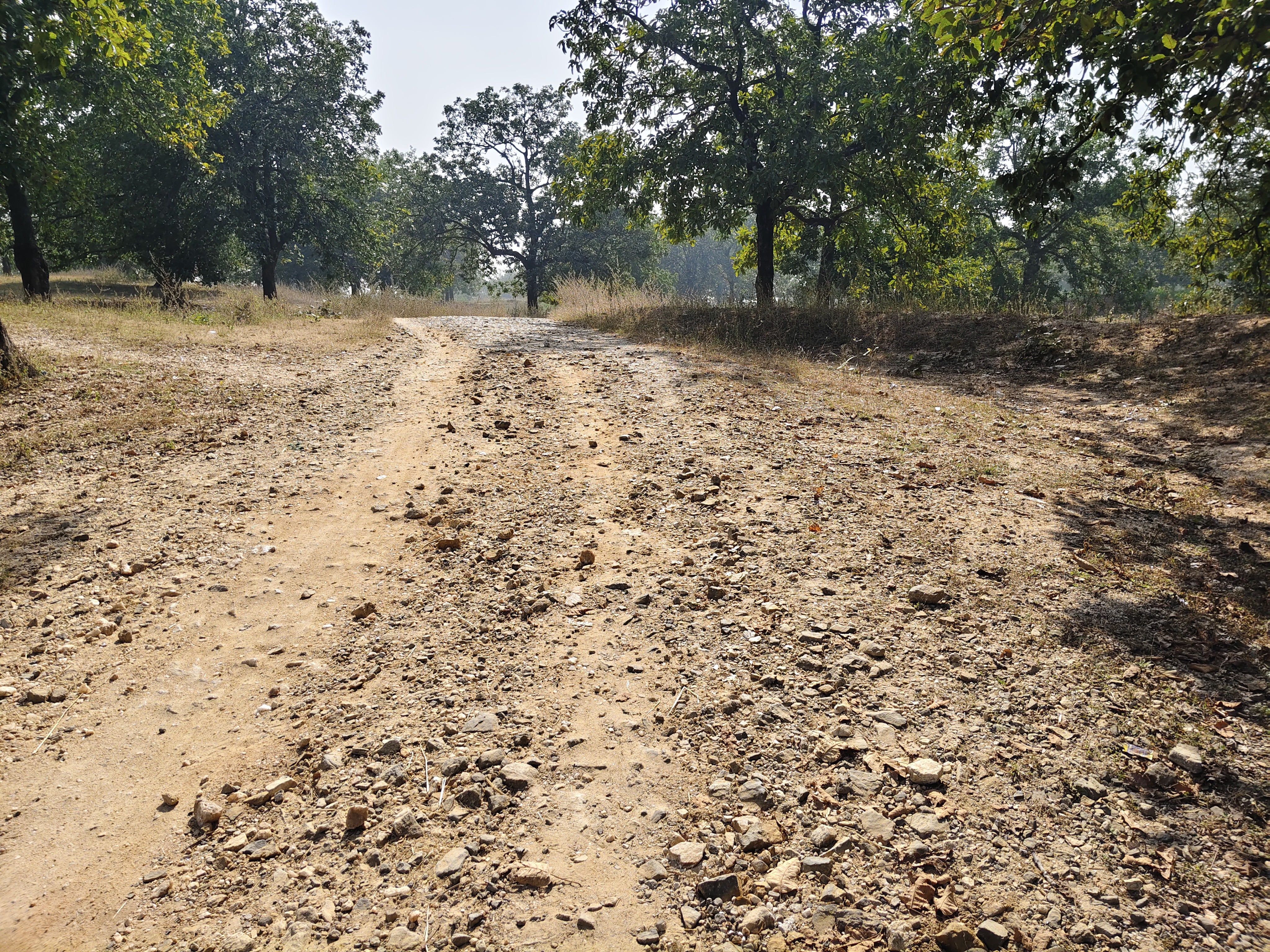 Road in Babhani is in bad shape, villagers are upset