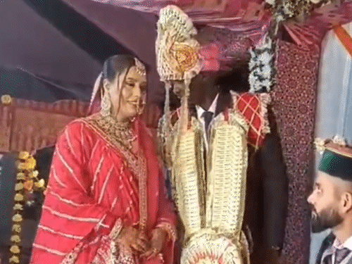 अंजली शर्मा ने साउथ अफ्रीका के युवक से रचाई शादी।