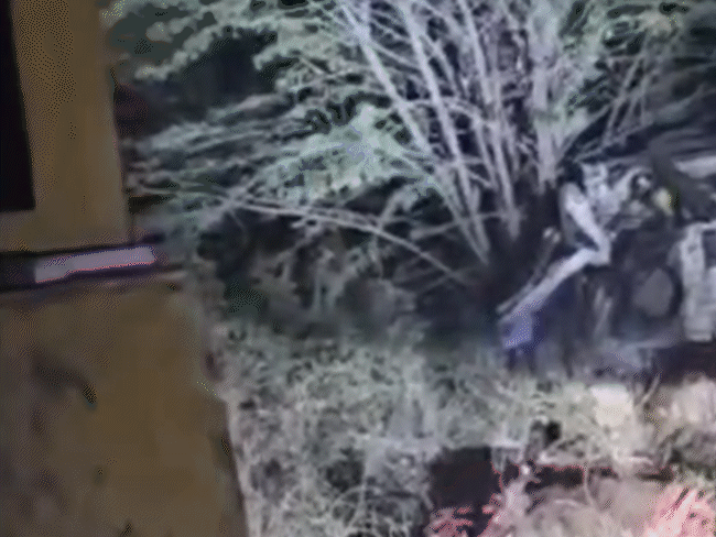 ट्रक की टक्कर से इको कार पूरी तरीके से पिचक गई और उसमें सवार पति-पत्नी की मौके पर ही मौत हो गई।