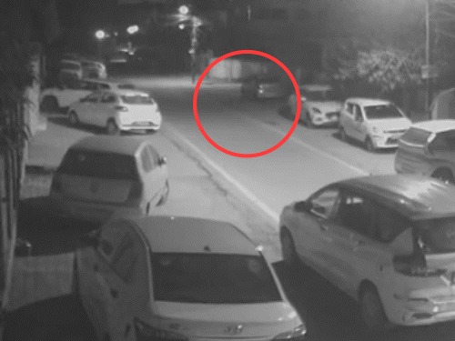 जयपुर के विद्याधर नगर में लेपर्ड का मूवमेंट नजर आया।